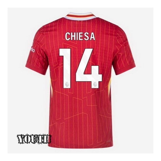 2024/2025 Federico Chiesa #14 Home Striped Youth Soccer Jersey