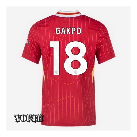 2024/2025 Cody Gakpo #18 Home Striped Youth Soccer Jersey - Click Image to Close